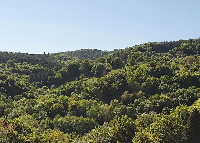 아파트 Gruene Oase Am Rheinsteig 2 Zkbuwc